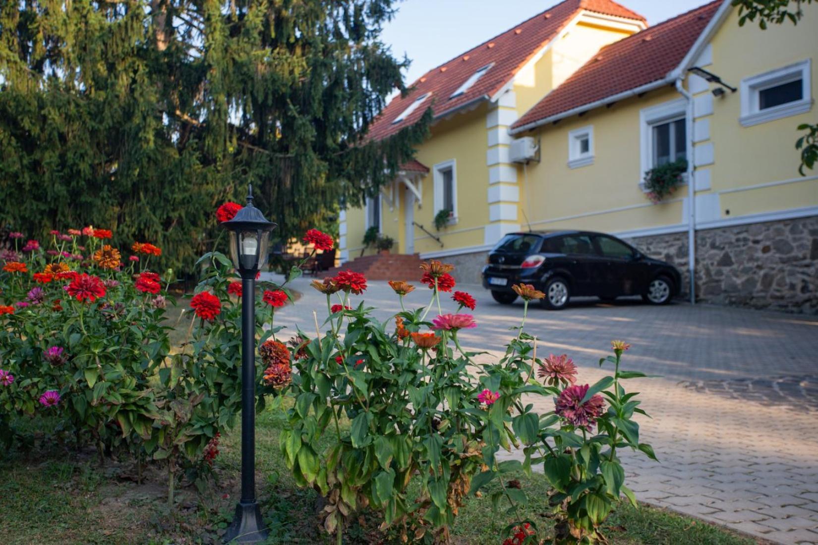 Kondics Apartmanhaz Sarvar Bagian luar foto